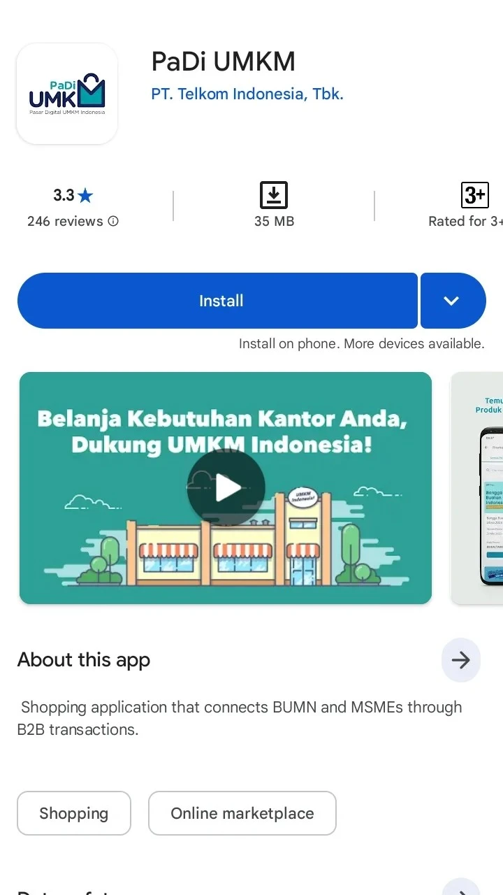Padi UMKM